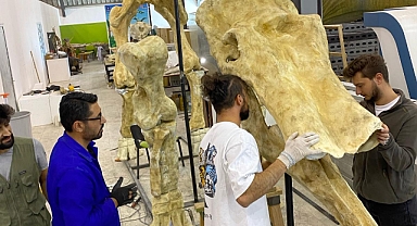 7,5 MİLYON YILLIK FOSİL DÜNYA PALEONTOLOJİNE IŞIK TUTUYOR