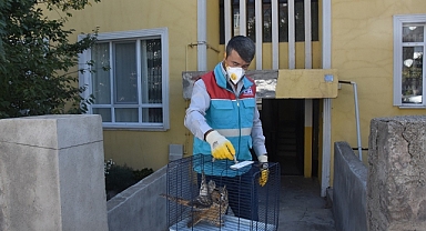 KÜÇÜK DOSTLAR AMBULANSI HAYAT KURTARIYOR