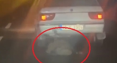 Otomobiline Bağladığı Domuzu Böyle Sürükledi