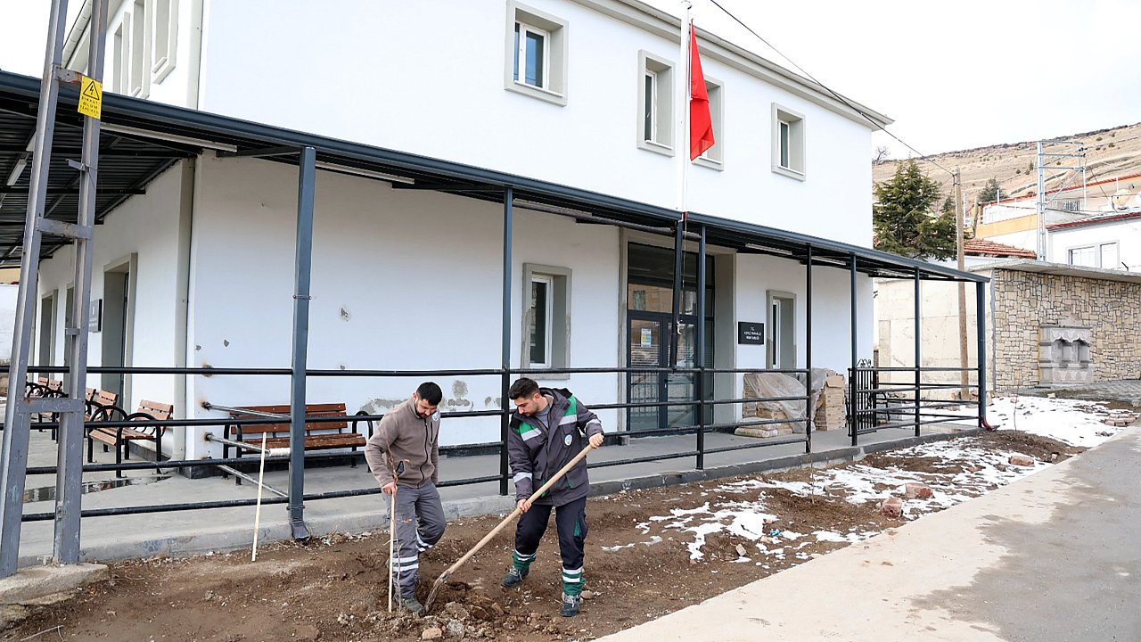 TALAS KIRSALINDAKİ KAMU ALANLARINA KESTANE FİDANI